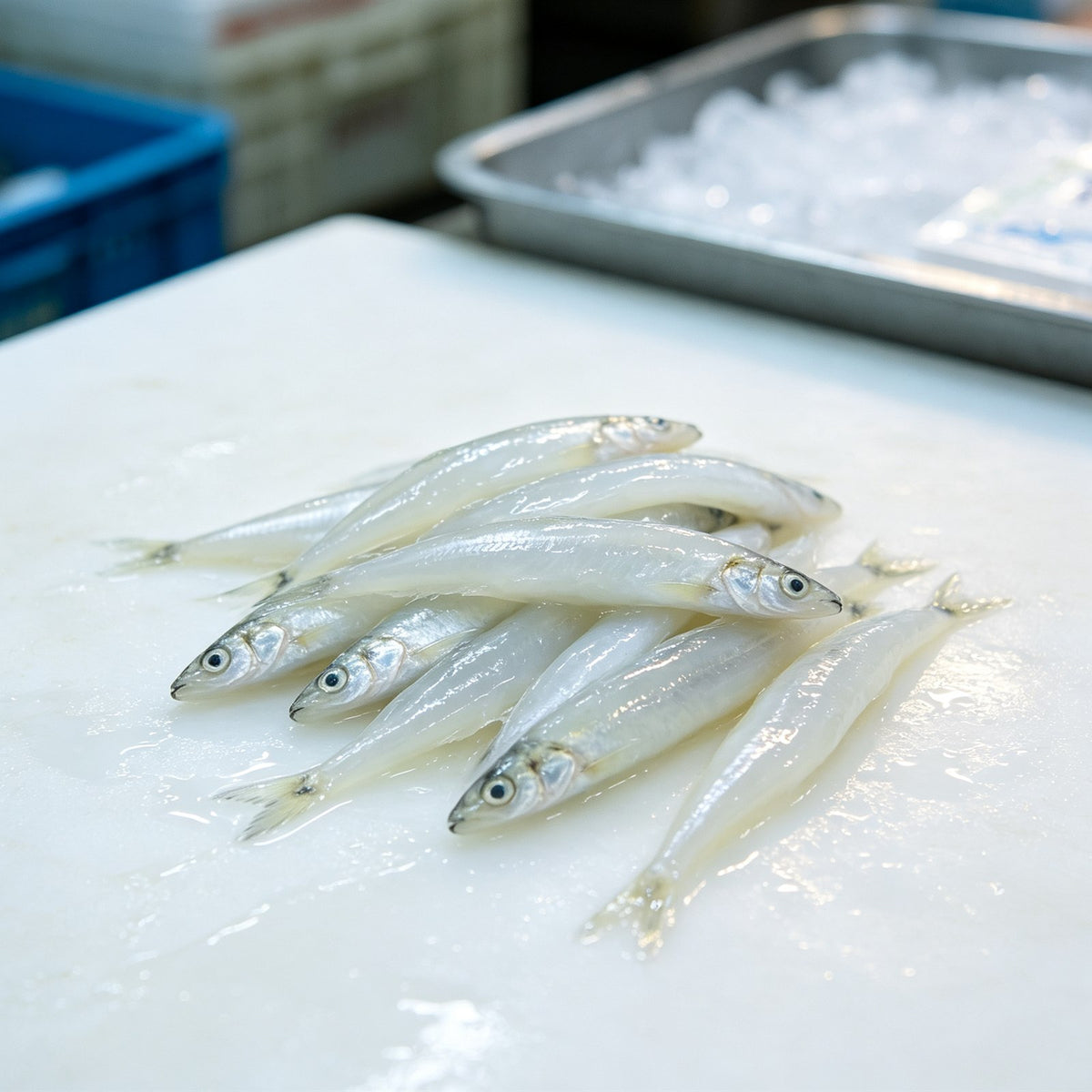 Premium Fresh Whitebait Silver Fish